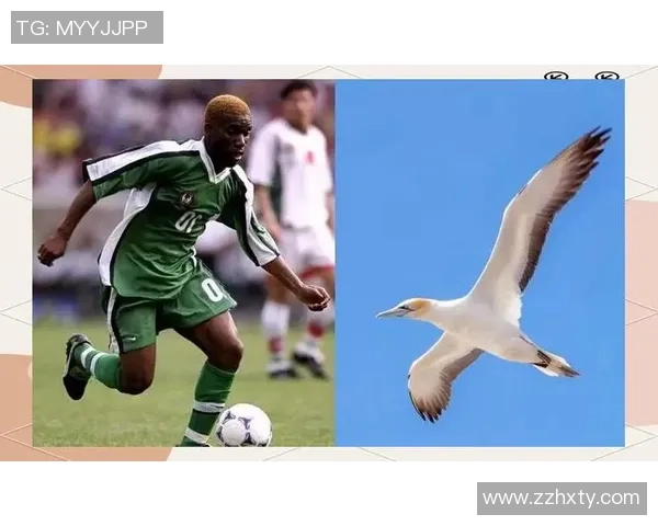 揭秘世界足坛球星绰号背后的故事与传奇人物魅力