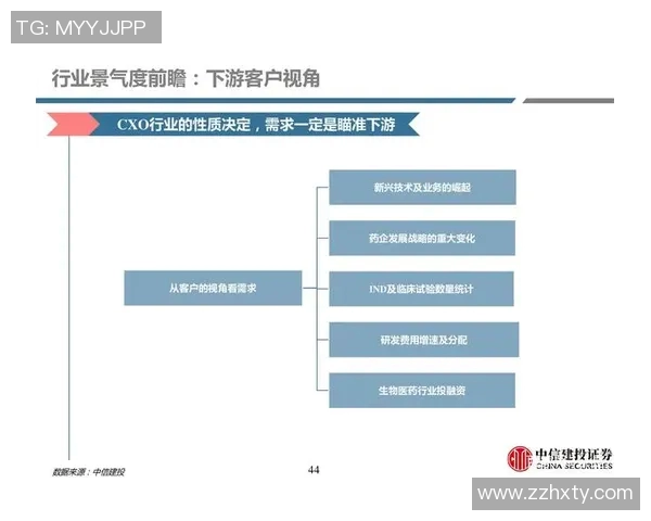 围绕足球运动员选择球星标准与影响球队战术发展的深度探讨